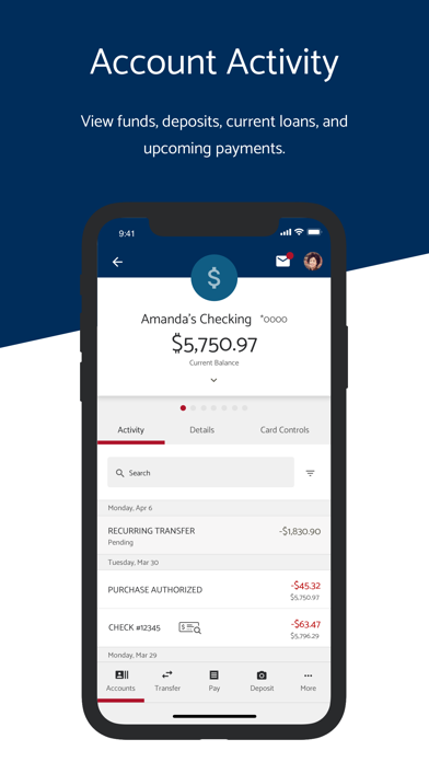 American 1 Online Banking Screenshot