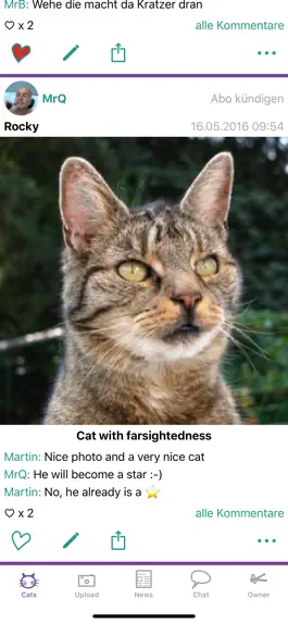 Game screenshot Felisz - Forum für Katzenfotos apk