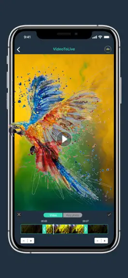 Game screenshot Video 2 Live Wallpaper Maker apk