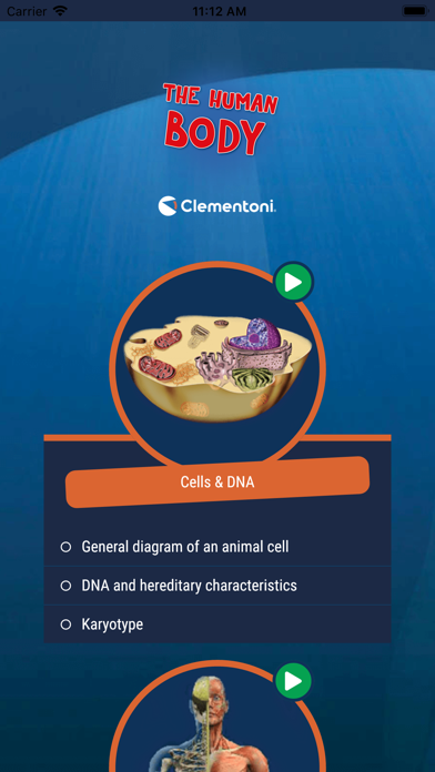 The Human Body Clementoni Screenshot