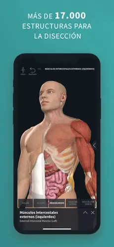 Screenshot 2 Complete Anatomy ‘21 iphone