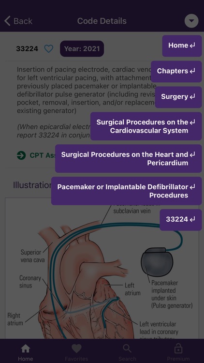 CPT QuickRef screenshot-3