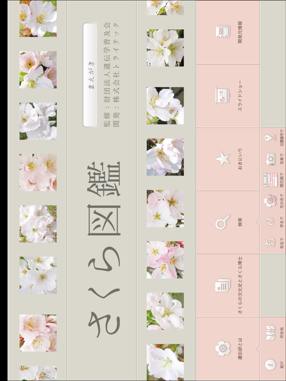Screenshot #4 pour さくら図鑑