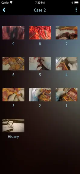 Game screenshot Autopsy hack