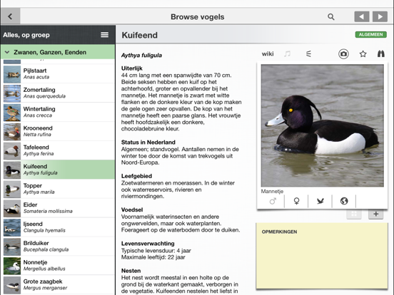 Vogels in Nederland - Zakgids iPad app afbeelding 8