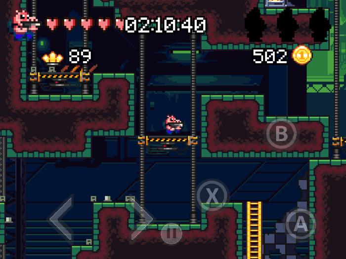 Ammo Pigs Cocked and Loaded