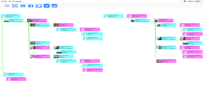 The Family Tree of Family