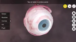 the eye (anatomy & physiology) iphone screenshot 3