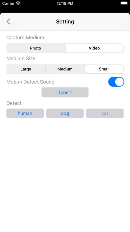 Motion Detector Camera screenshot-4