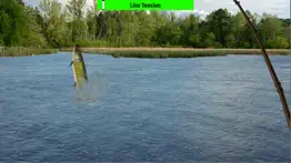 musky country problems & solutions and troubleshooting guide - 2