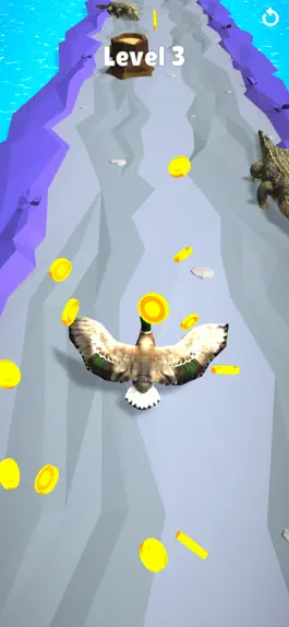 Game screenshot Runner Duck 3D hack