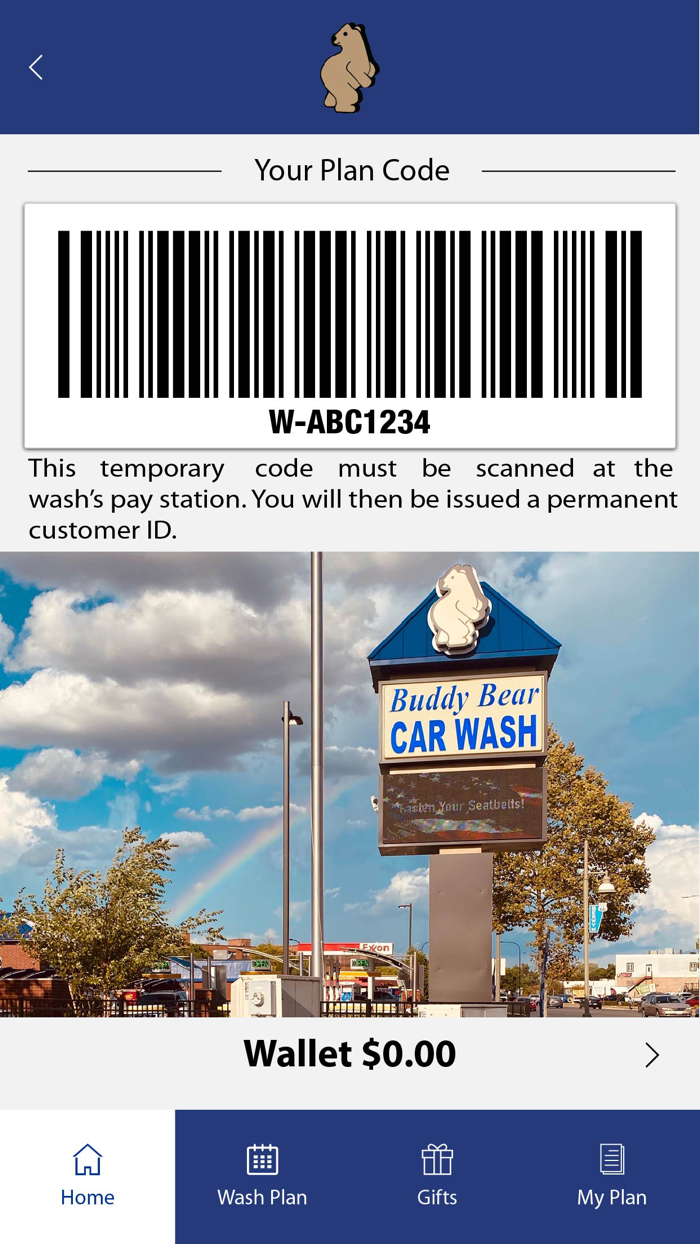 Buddy Bear Car Wash