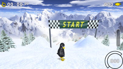 Extreme Tux Racer Screenshot