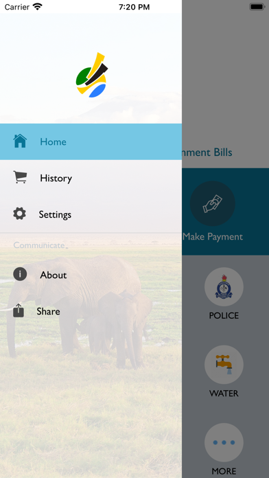 GePG Tanzania Screenshot