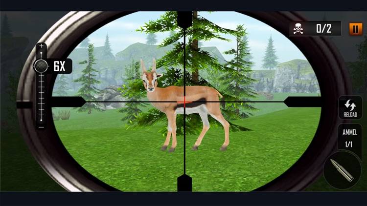Wild Animal Hunting Adventure