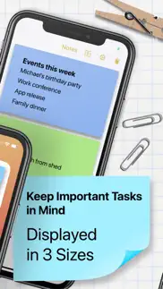 sticky notes widget+ iphone screenshot 2