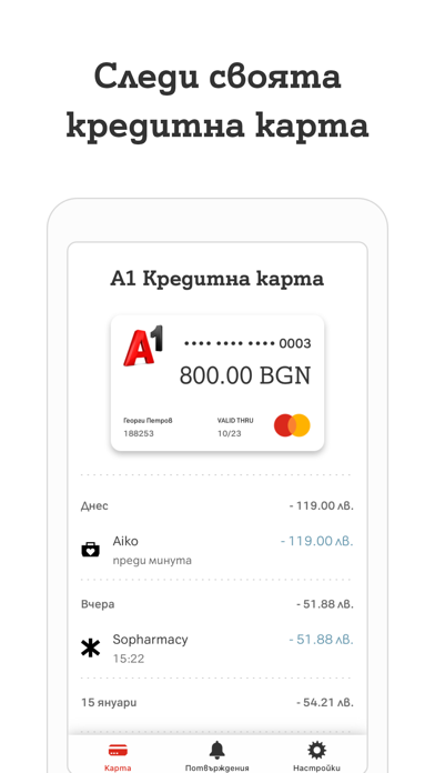 A1 Credit Card Screenshot