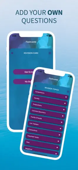 Game screenshot GCSE Spanish Vocab hack