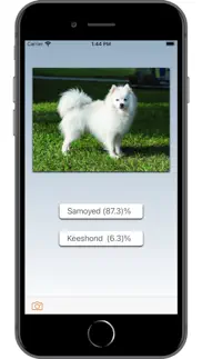 dog breed ai iphone screenshot 3