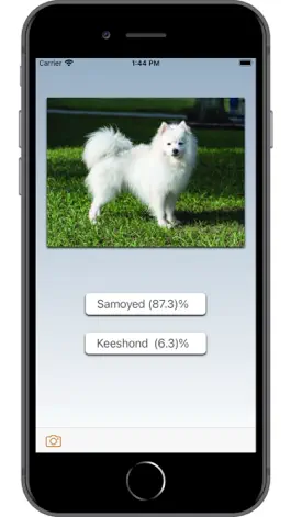 Game screenshot Dog Breed AI hack