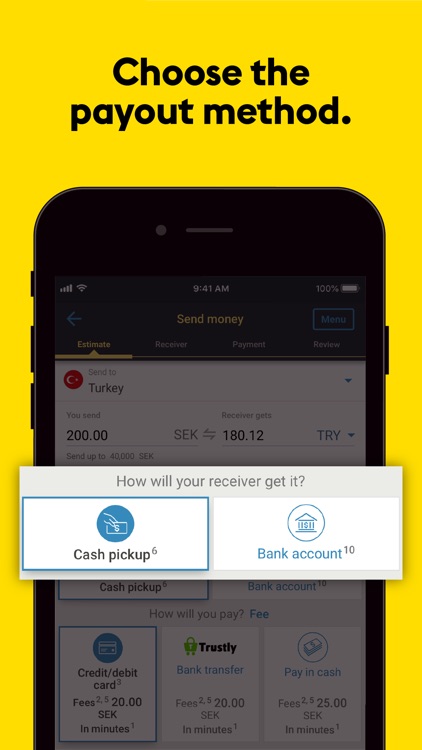 Western Union Money Transfer screenshot-2