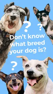 dog breed identifier by dogo problems & solutions and troubleshooting guide - 2