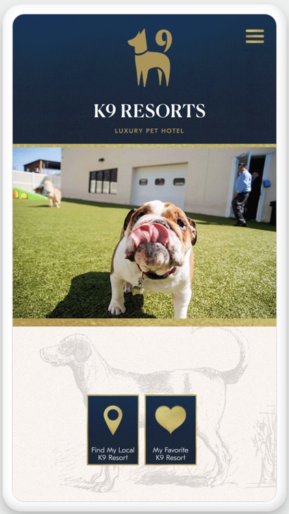 K9 Resorts Luxury Pet Hotel