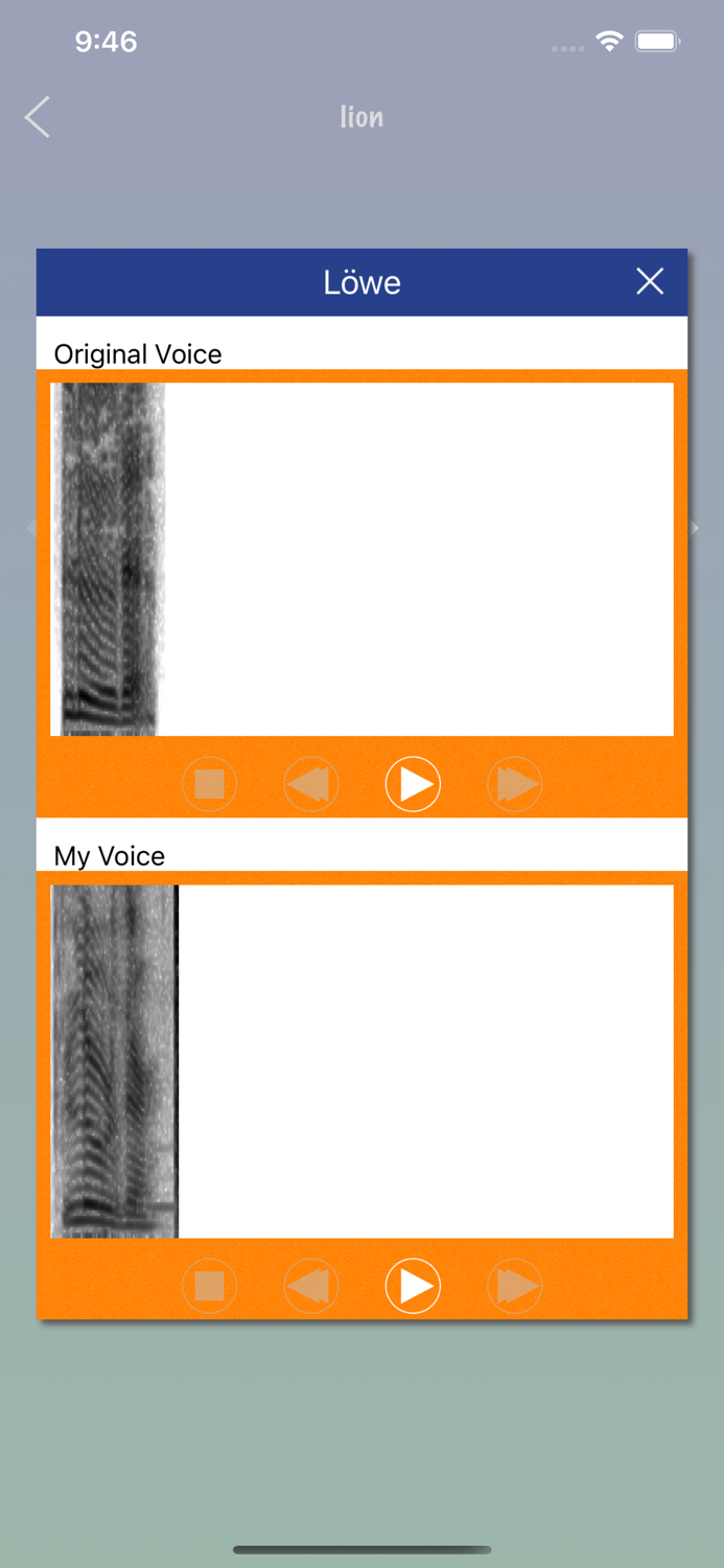 German Word Flashcards Learn