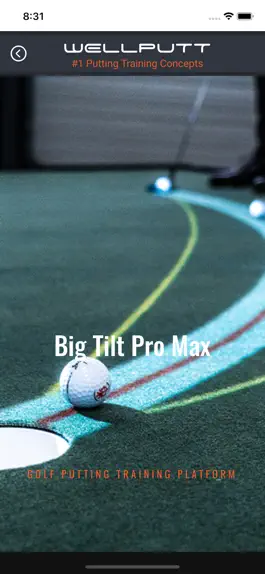 Game screenshot BigTilt Pro Max apk