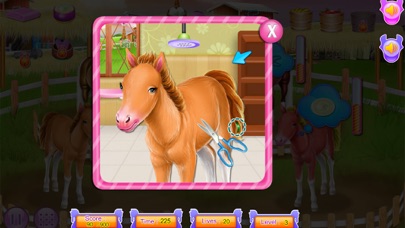 Horse and pony caring game Screenshot