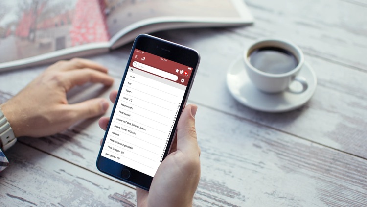 Dicziunari Rumauntsch Puter screenshot-6