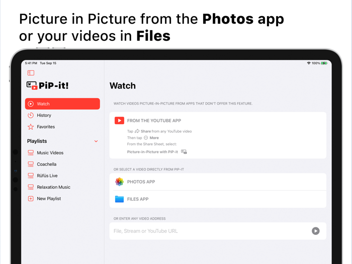 PiP-it Picture in Picture
