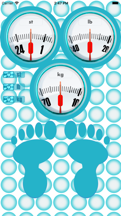 Body Weight Unit Converter Screenshot