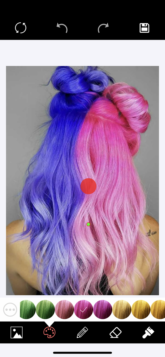 Hair Color Changer Editor