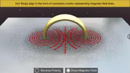 magnetic field and current problems & solutions and troubleshooting guide - 4