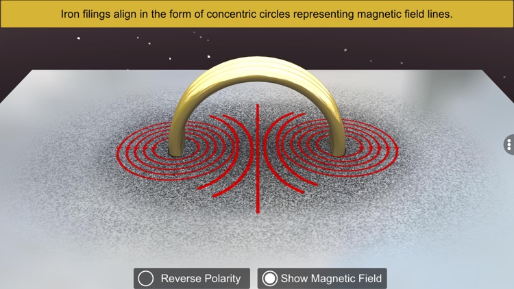 Magnetic Field And Current screenshot-8
