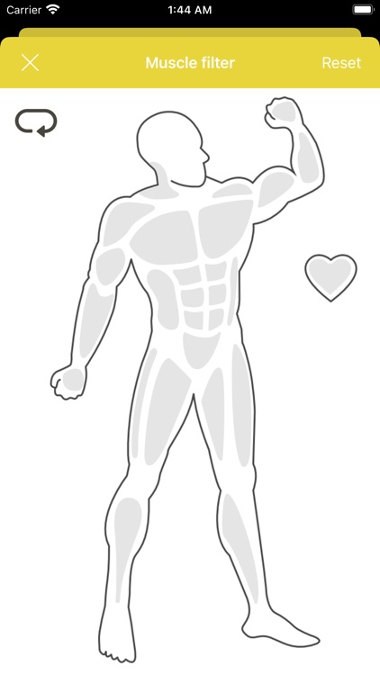 Ignite Fitness Connecticut screenshot-3