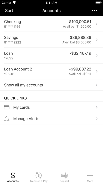 Pinnacle Bank Texas Screenshot