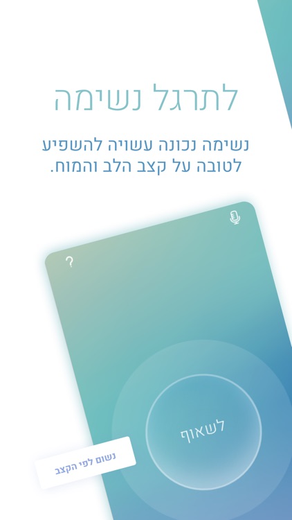 כינור לב