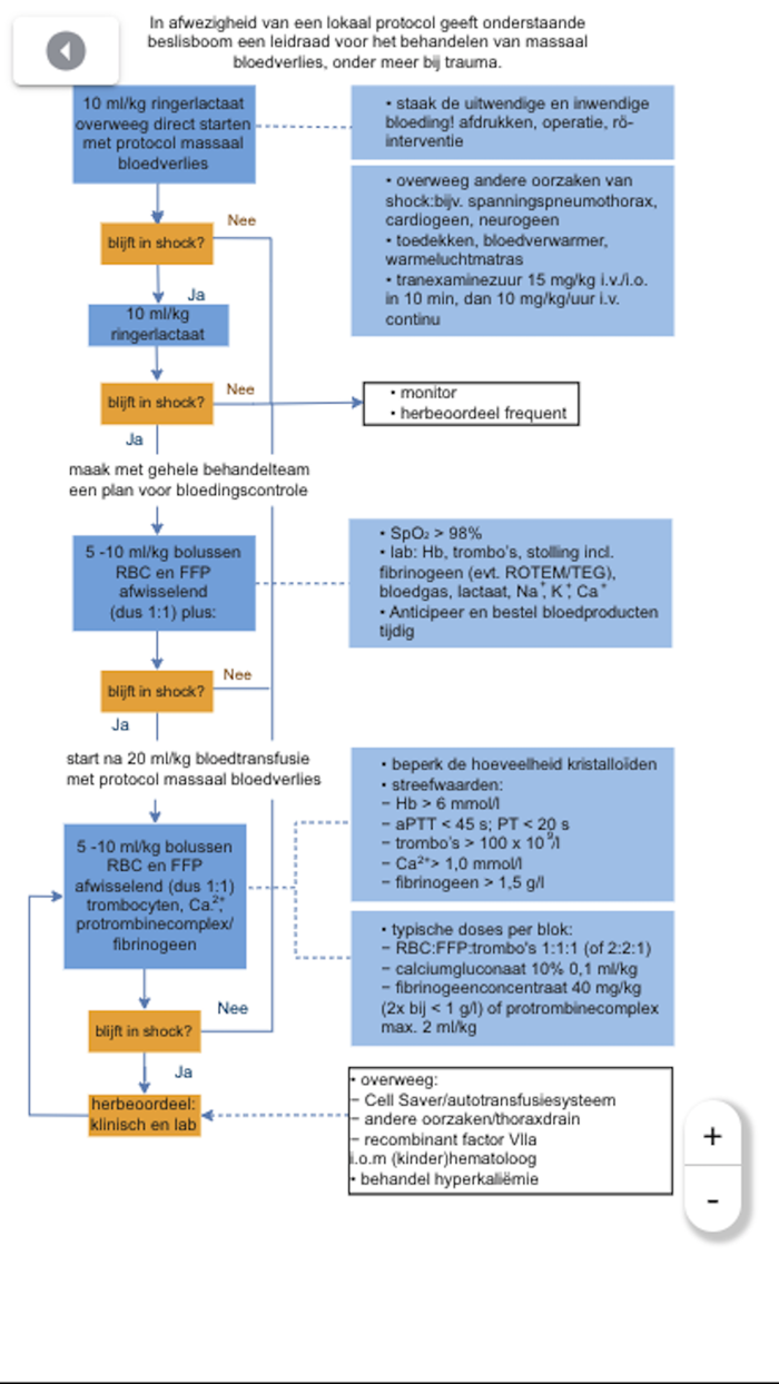Spoedeisende Hulp bij Kinderen
