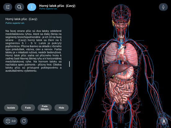 High School Anatomy 21 iPad screenshot 4 - Education app