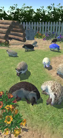 Game screenshot Hedgehog Friends mod apk