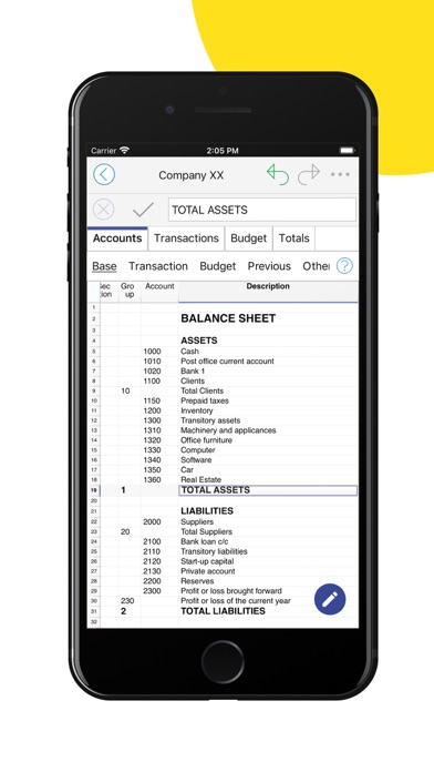Banana Accounting Mobile Screenshot