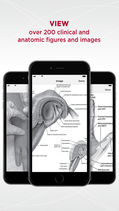 5 Minute Sports Med Consult Screenshot