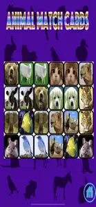 Ninu's Animal Match Card Game screenshot #2 for iPhone