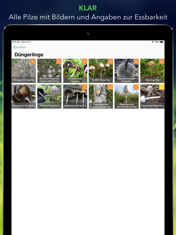Pilze 123 iPad app afbeelding 7
