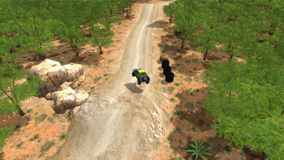 screenshot of Go Rally 2