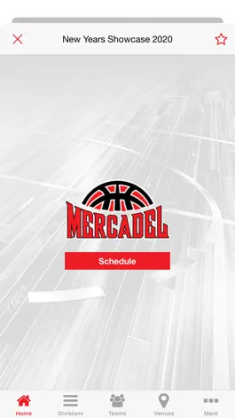 Game screenshot Mercadel Basketball hack