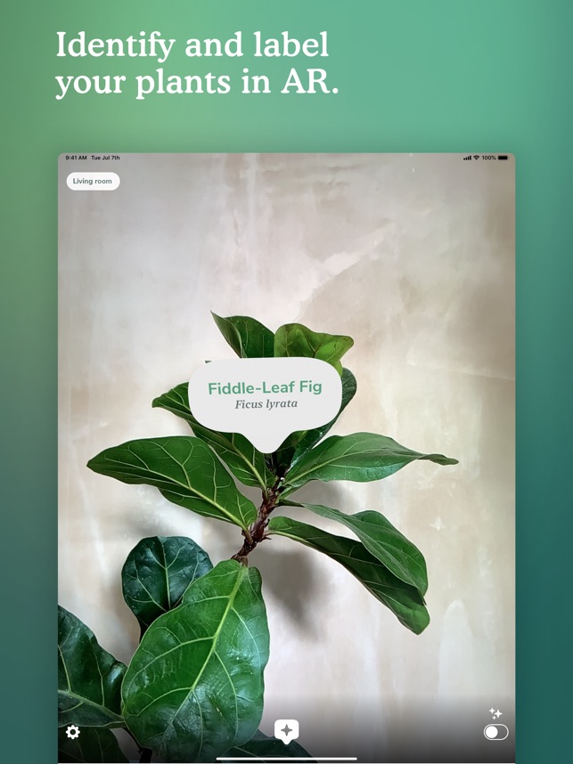 Candide labels plant id