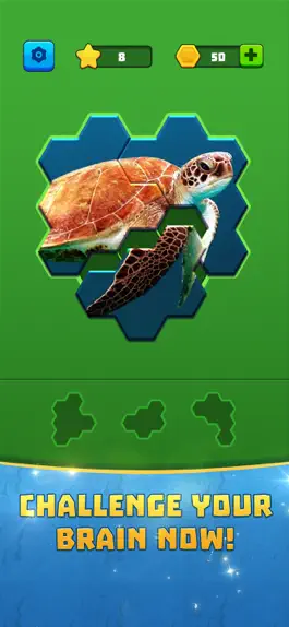 Game screenshot Hex Block Jigsaw hack